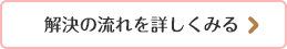 解決の流れを詳しくみる